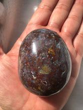 Load image into Gallery viewer, Ocean Jasper Palm Stone