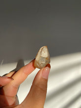 Load image into Gallery viewer, Brazilian Citrine Natural Point