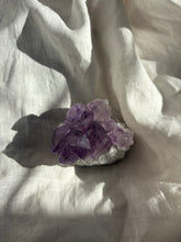 Load image into Gallery viewer, Amethyst Cluster
