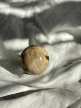 Load image into Gallery viewer, Picture Jasper Sphere
