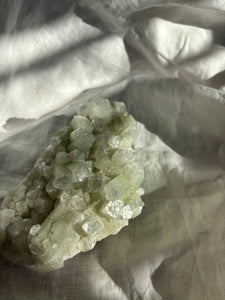 Green Apophyllite Specimen XL