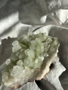 Green Apophyllite Specimen XL