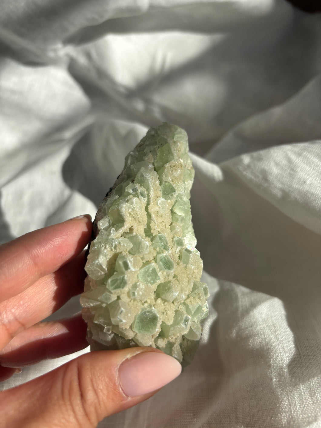 Apophyllite Cluster