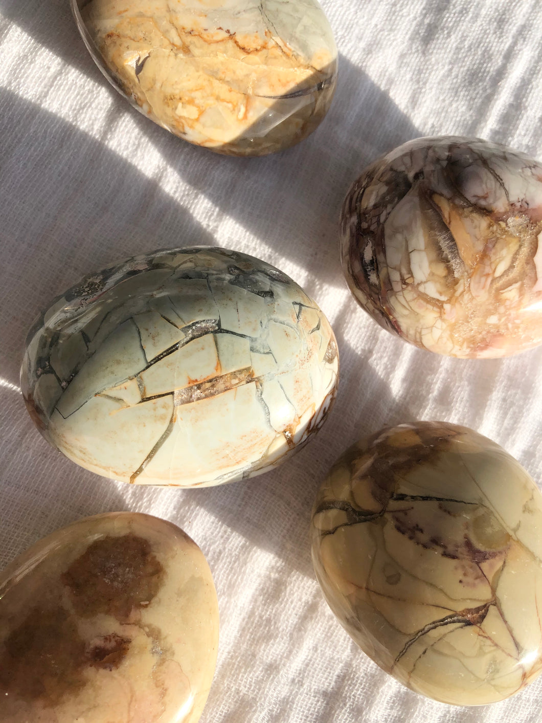 Ibis Jasper Palm Stone