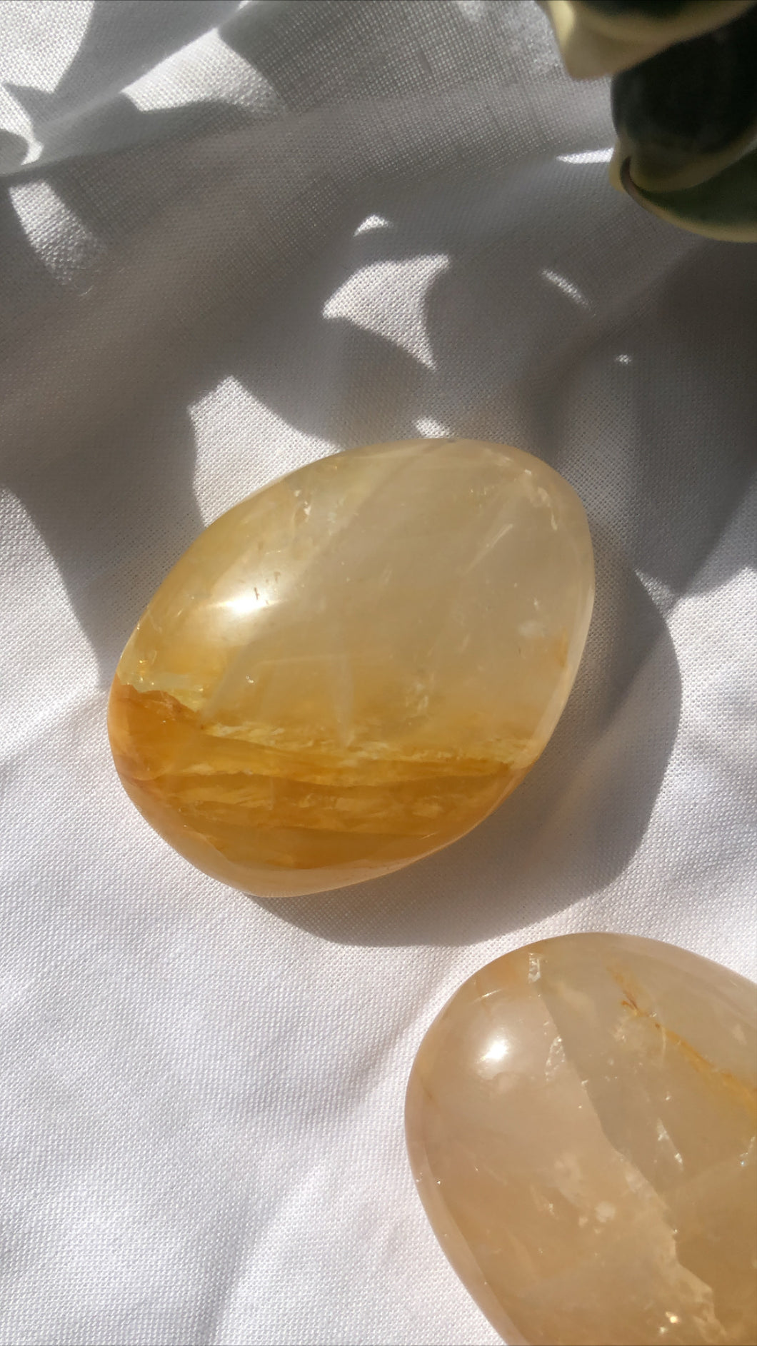 Golden Healer Palm Stone Small