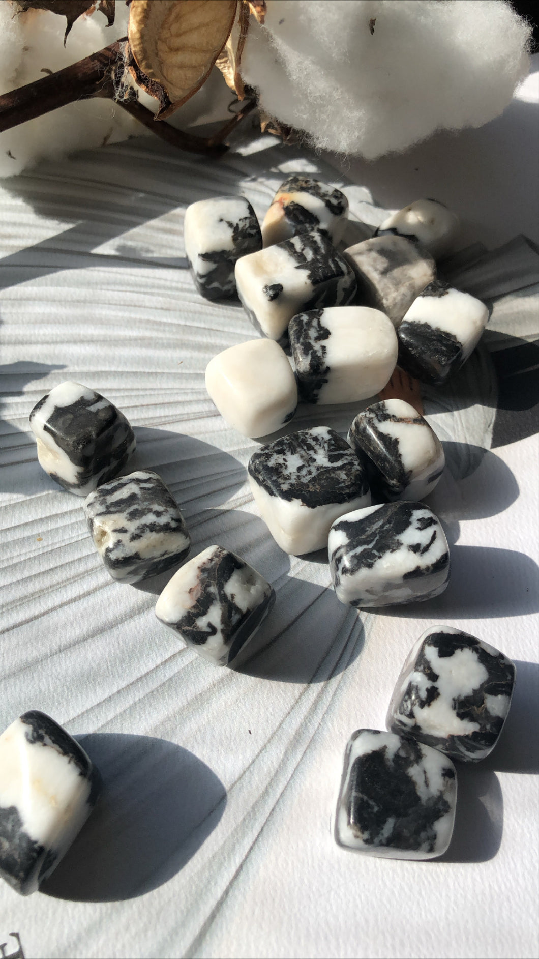 Zebra Jasper Tumble