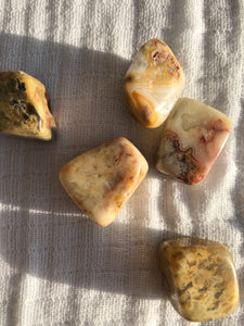 Crazy Lace Agate Tumble