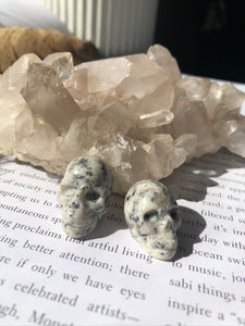 Kiwi Jasper Mini Skull