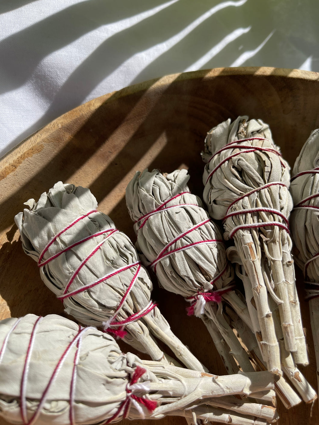 White Sage Small