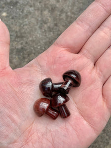 Red Tigers Eye Mini Mushroom
