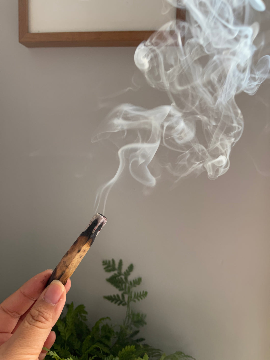 Palo Santo (Thin)