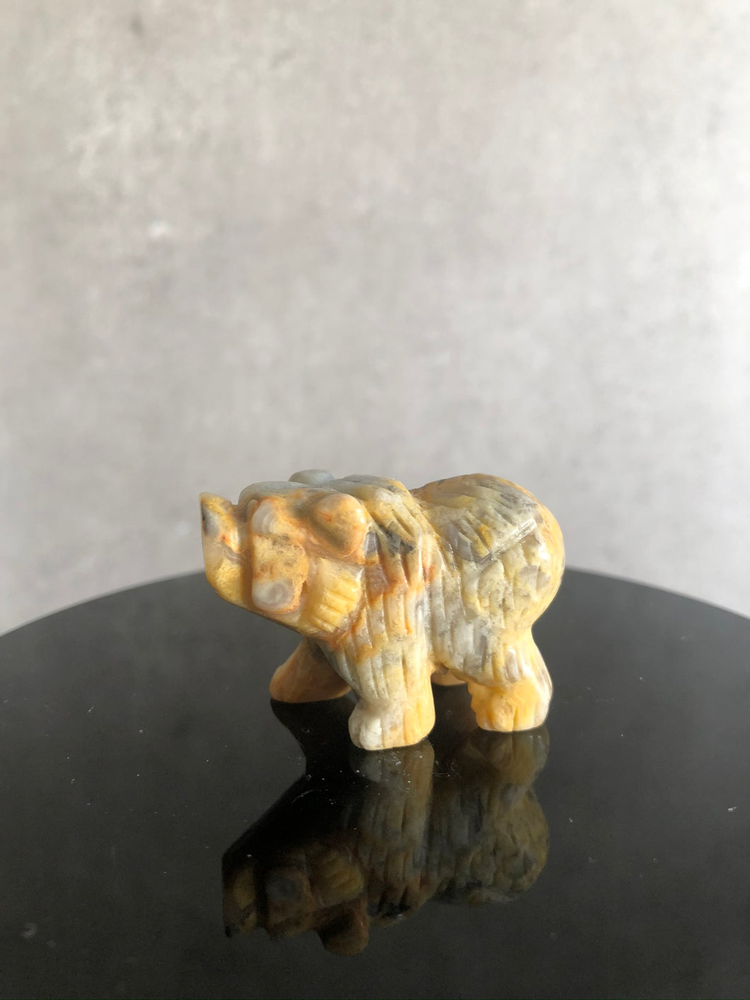 Crazy Lace Agate Bear