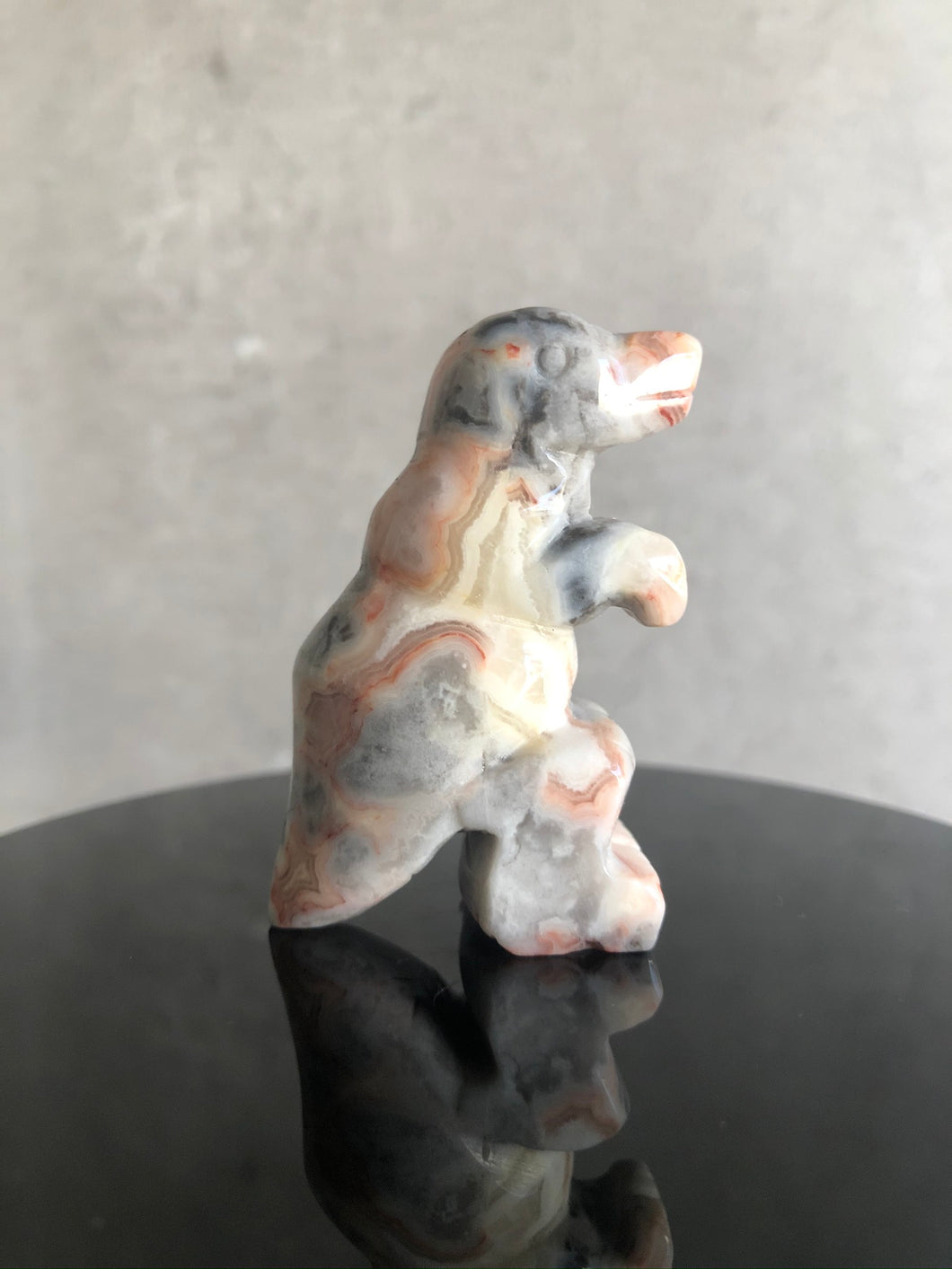 Crazy Lace Agate Dinosaur Carving