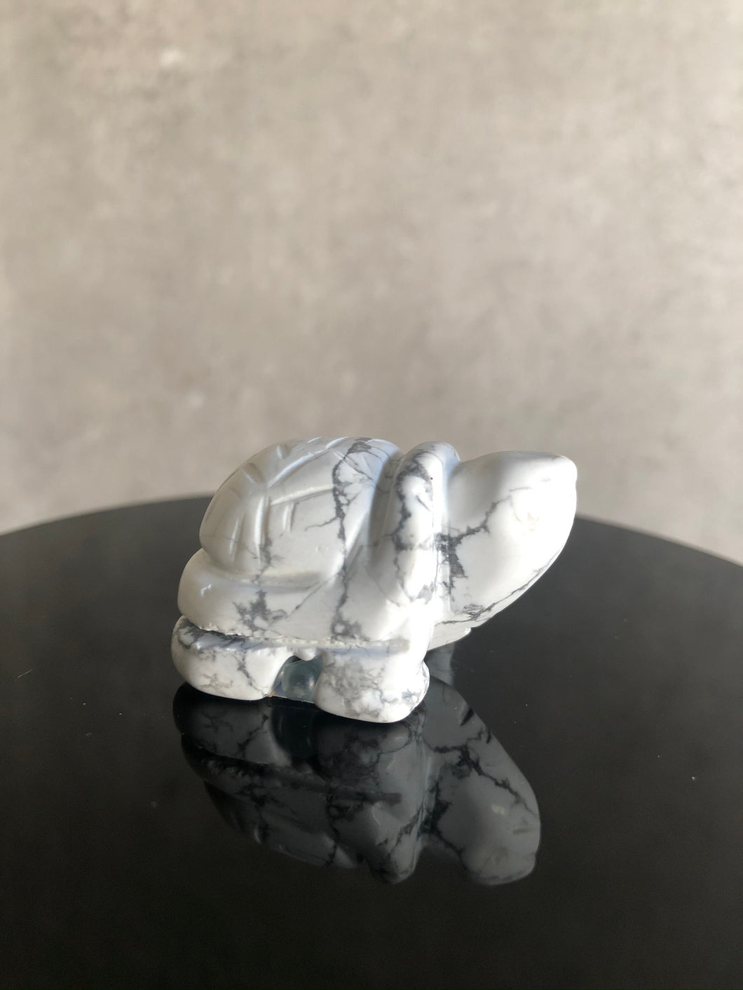 Howlite Tortoise Carving
