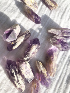 Amethyst Roots
