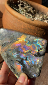 Labradorite Freeform - Electric Flash