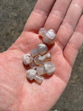 Load image into Gallery viewer, Flower Agate Mini Mushroom
