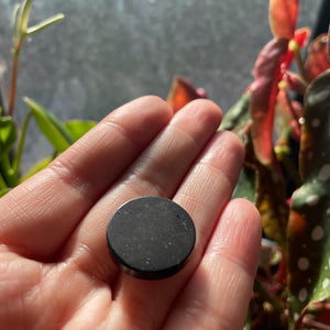 Shungite Disc