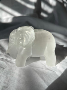 Satin Spar Elephant