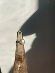 Grey Moonstone Ring #228