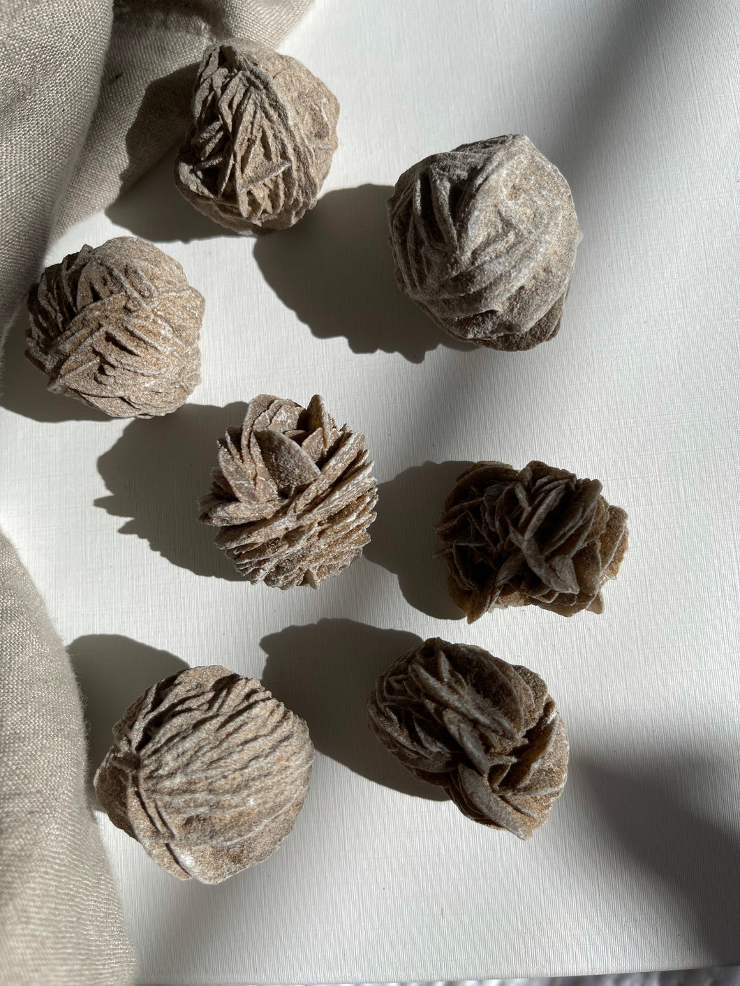 Desert Rose Cluster