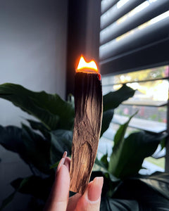 Palo Santo (Thick)